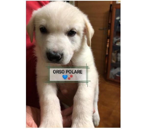 Adottami Sarai Il Mio Mondo 